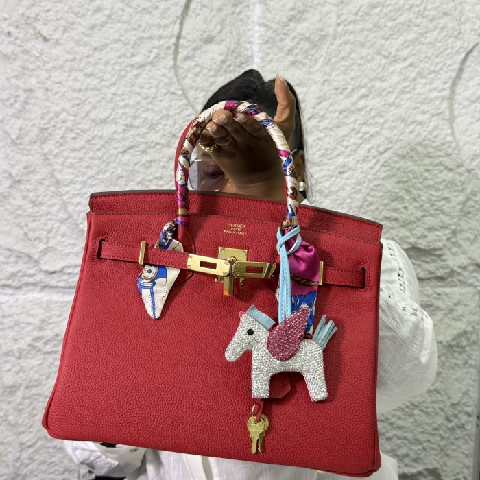 Hermes Birkin Togo Leather Bag (Red)