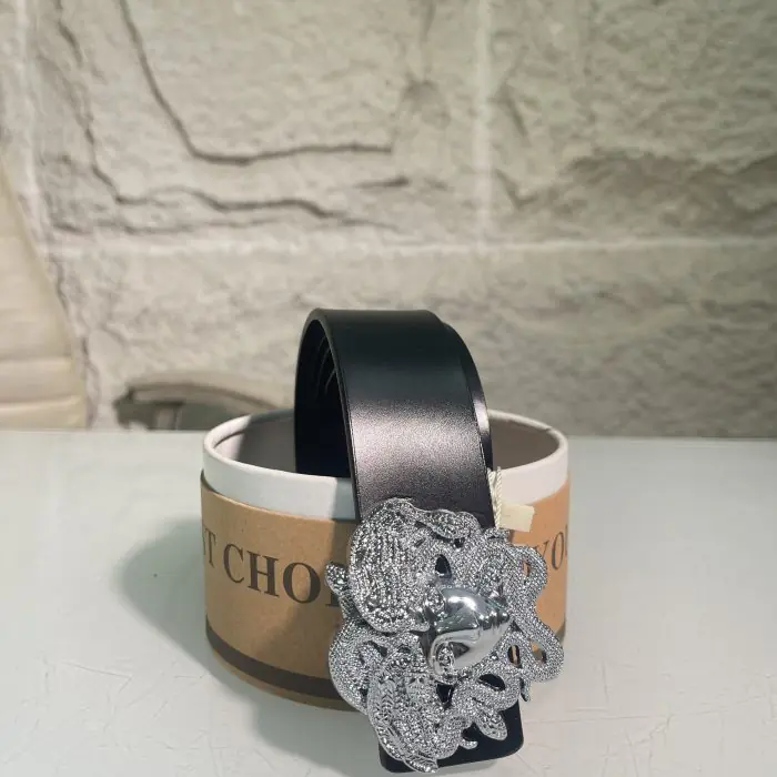 Belt 023