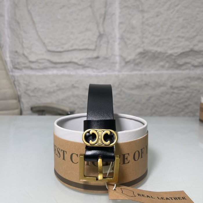 Belt 047