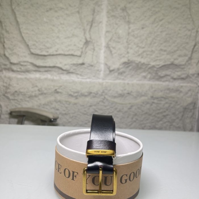 Belt 057