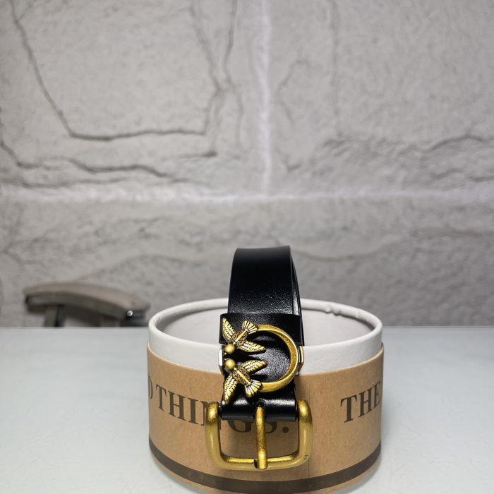Belt 073