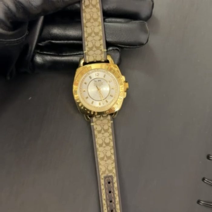 Luxury Watch 184