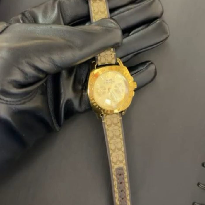 Luxury Watch 181
